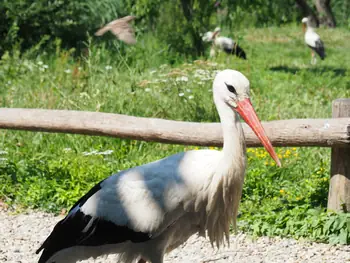 NaturOparC Hunawihr, Alsace (France)